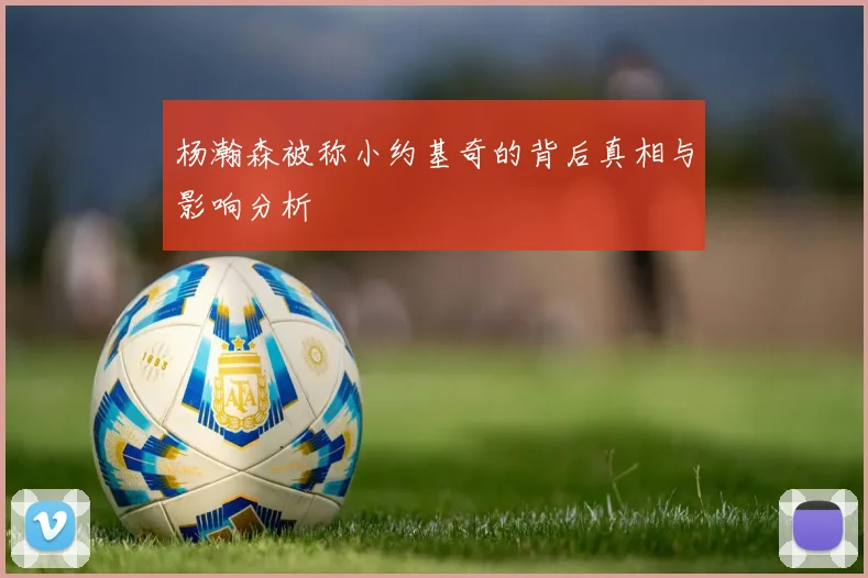 杨瀚森被称小约基奇的背后真相与影响分析